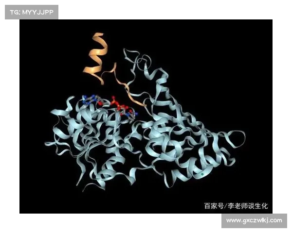 冰虫鳞片结构对其在生物材料领域应用的影响及机制探析 冰虫鳞片结构对其在生物材料领域应用的影响及机制探析