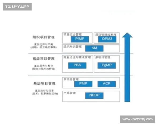 如何根据个人优势与市场需求选择最适合的职业路径与发展战术 如何根据个人优势与市场需求选择最适合的职业路径与发展战术
